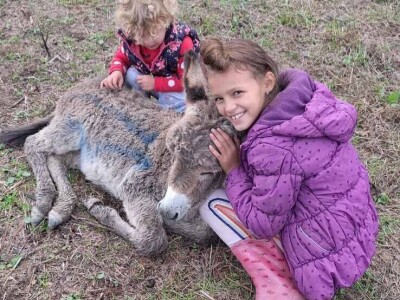 Farma koza i ovaca "Brusojević"