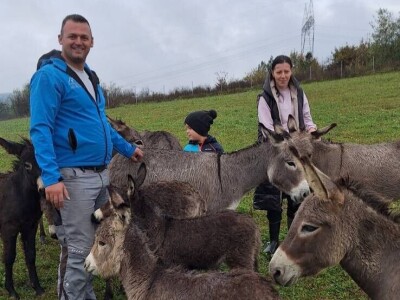Farma koza i ovaca "Brusojević"