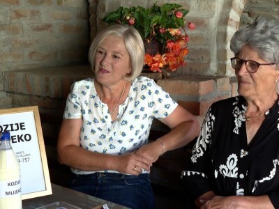 Farma koza na imanju porodice Šukurma