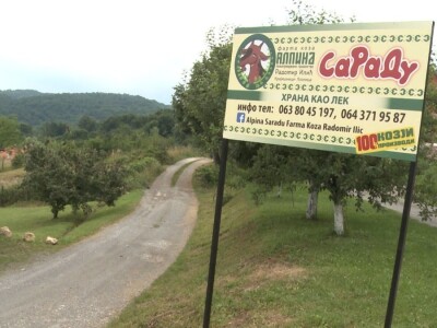 Farma koza "Saradu"