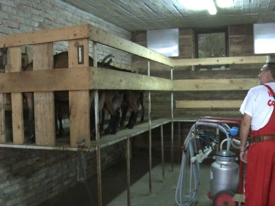 Farma koza "Saradu"