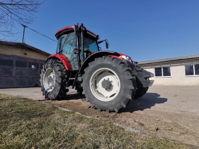 Farma krava Butmir - HF pasmina