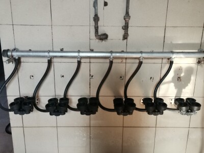 Farma krava Butmir - HF pasmina