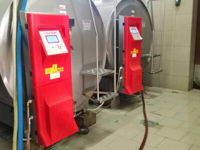 Farma krava Butmir - HF pasmina