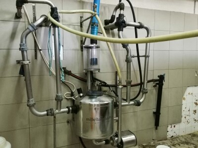 Farma krava Butmir - HF pasmina