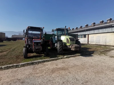Farma krava Butmir - HF pasmina