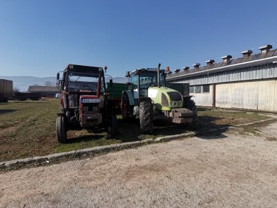 Farma krava Butmir - HF pasmina