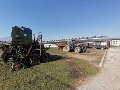 Farma krava Butmir - HF pasmina