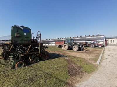 Farma krava Butmir - HF pasmina