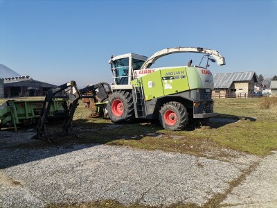 Farma krava Butmir - HF pasmina