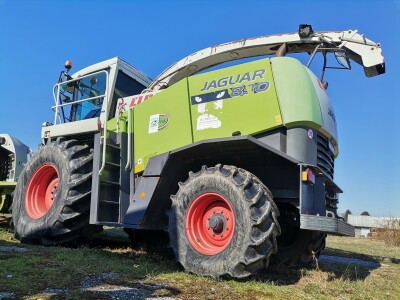 Farma krava Butmir - HF pasmina