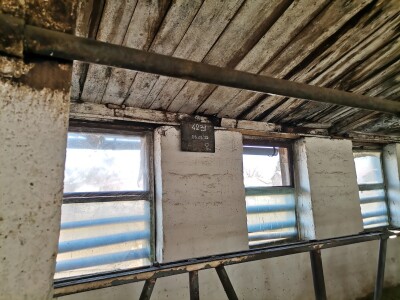 Farma krava Butmir - HF pasmina