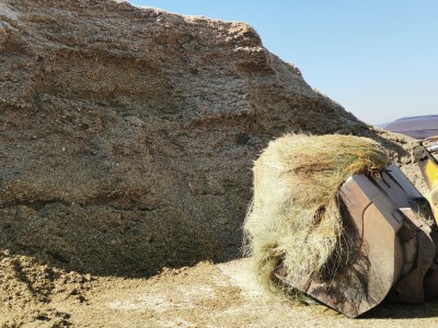 Farma krava Butmir - HF pasmina