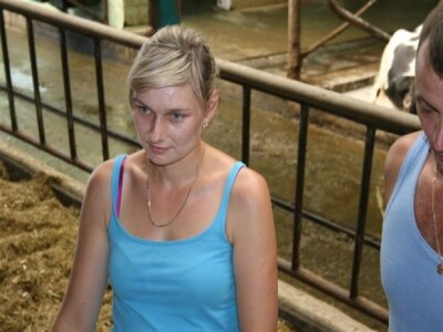 Farma krava na OPG Rudnik