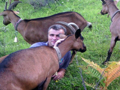 Farma Lazarević - Ilija sa stadom