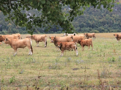 Farma Lužak