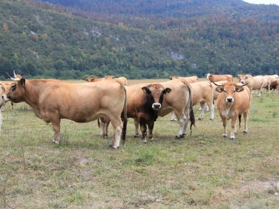 Farma Lužak