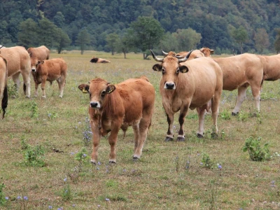 Farma Lužak