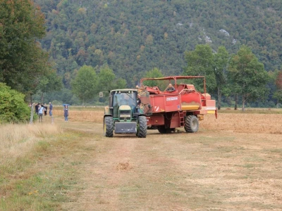 Farma Lužak