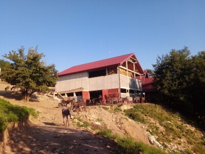 Farma magaraca Zavidovići - Mali farmer