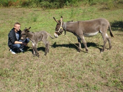 Farma magaraca Zavidovići - Mali farmer