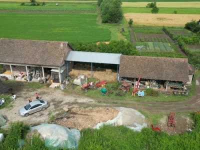 Farma mlečnih krava - Simićevo