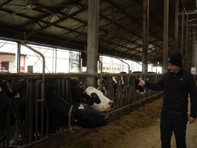 Farma muznih krava Arator u Lovasu