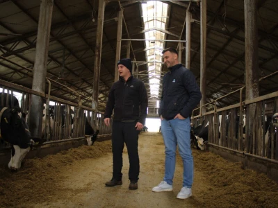 Farma muznih krava Arator u Lovasu