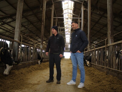 Farma muznih krava Arator u Lovasu