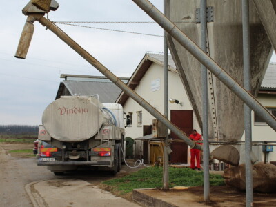 Farma muznih krava Arator u Lovasu