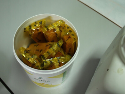 Farma muznih krava Arator u Lovasu