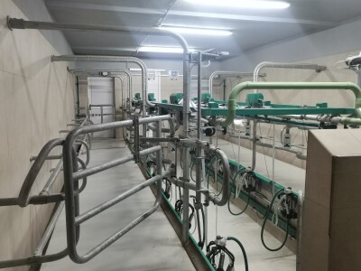 Farma muznih krava u Vitezu