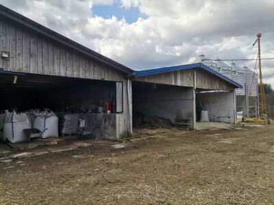 Farma muznih krava u Vitezu