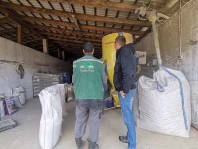 Farma muznih krava u Vitezu