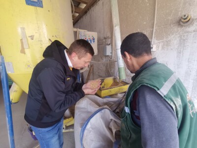 Farma muznih krava u Vitezu