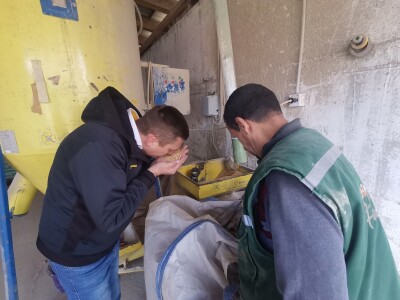 Farma muznih krava u Vitezu