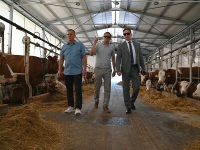 Farma muznih krava "Zara"