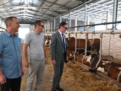 Farma muznih krava "Zara"