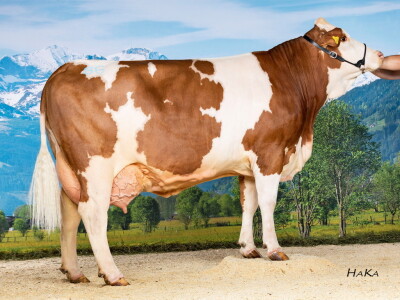 Farma obitelji Hartl