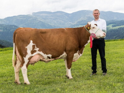 Farma obitelji Hartl