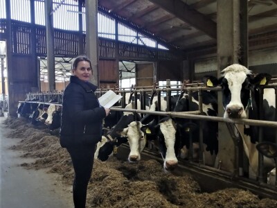 Farma obitelji Murković iz međimurskog Novakovca najbolja je mlječna farma u Hrvatskoj