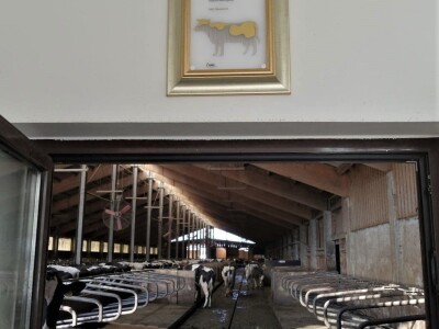 Farma obitelji Murković iz međimurskog Novakovca najbolja je mlječna farma u Hrvatskoj