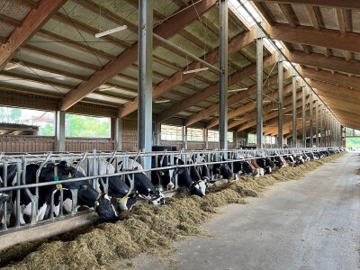 Farma obitelji Murković iz međimurskog Novakovca najbolja je mlječna farma u Hrvatskoj