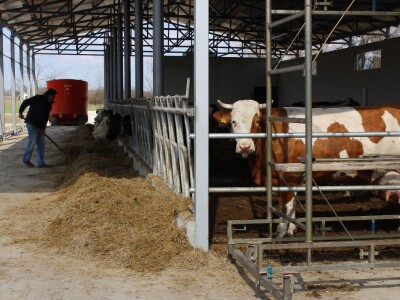 Farma obitelji Uglješić