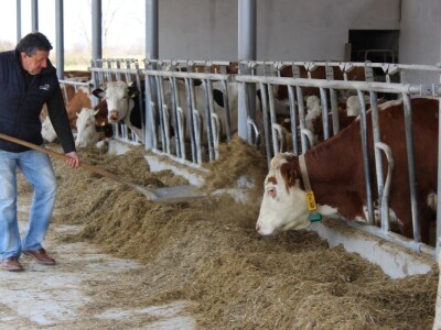 Farma obitelji Uglješić