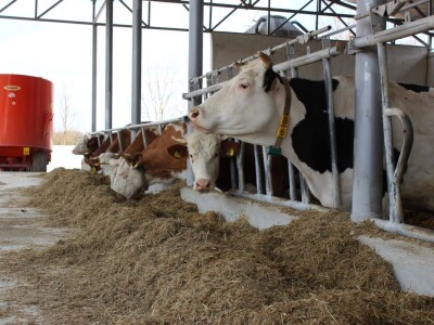 Farma obitelji Uglješić