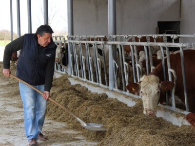 Farma obitelji Uglješić