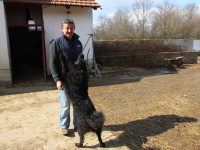 Farma obitelji Uglješić