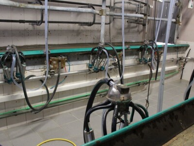 Farma obitelji Uglješić