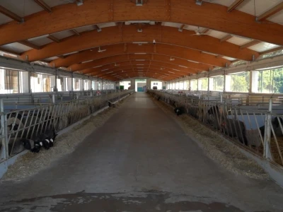 Farma ovaca "Hacienda de la Vida"